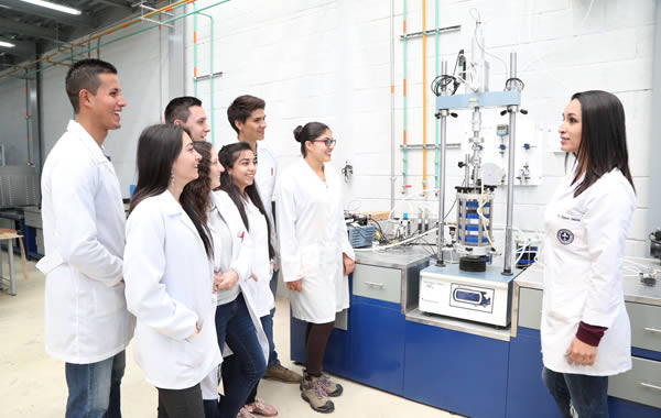 Perfil Profesional - Universidad Mariana