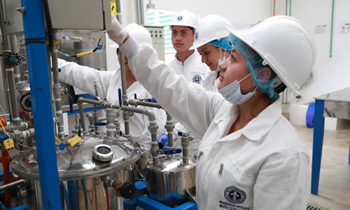 Perfil Profesional - Universidad Mariana