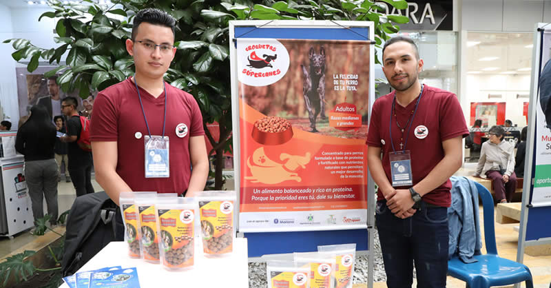 INNOVA SUR, FORTALECE EL EMPRENDIMIENTO DE LAS REGIONES
