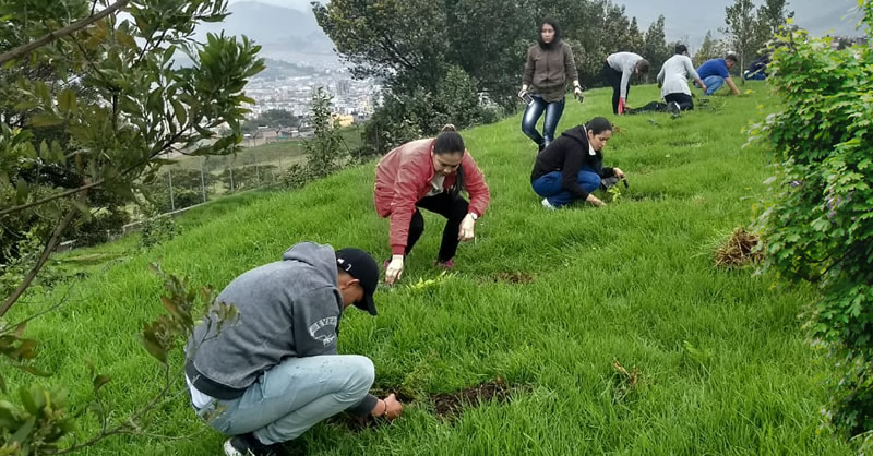 SIEMBRATÓN EN EL CAMPUS ALVERNIA