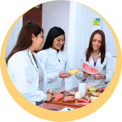 Grupos de Investigación de la Universidad Mariana de Pasto