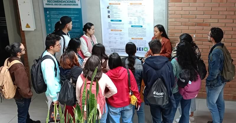 Universidad Mariana