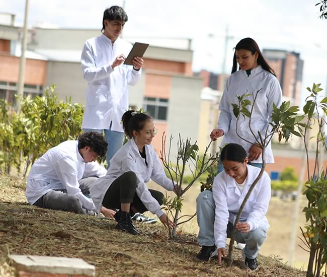 Pasto - Universidad Mariana - Programas académicos - Universidades Colombianas