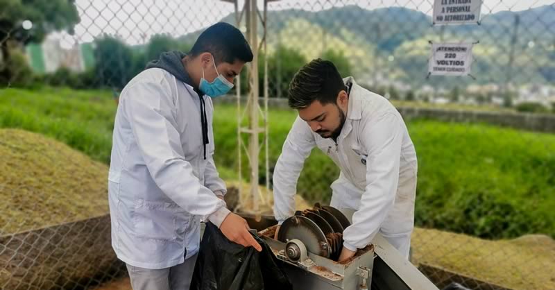 MADERA DE COCO: UNA DE LAS 20 INICIATIVAS INNOVADORAS SELECCIONADAS PARA EL DESAFÍO CIRCULARECONOMY4COLOMBIA