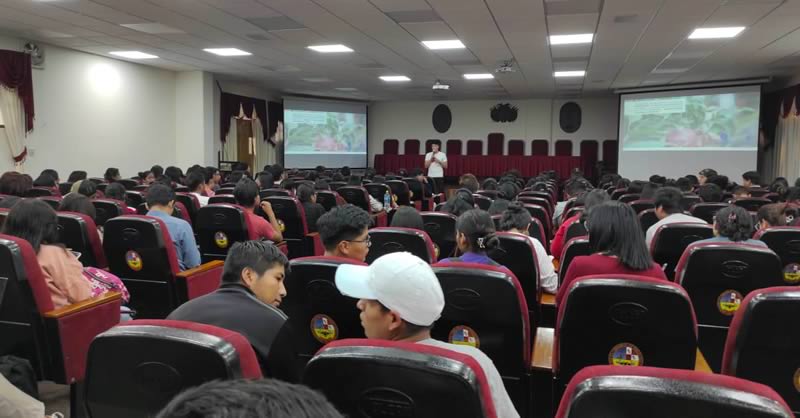 Universidad Mariana