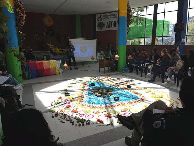 Universidad Mariana