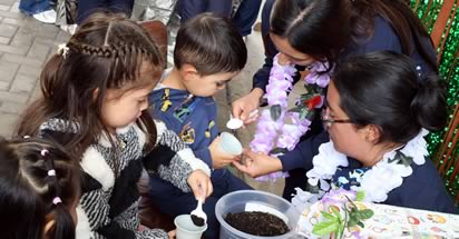 Noticia: Ciencia y juego fortalecen creatividad y pensamiento crítico en la primera infancia