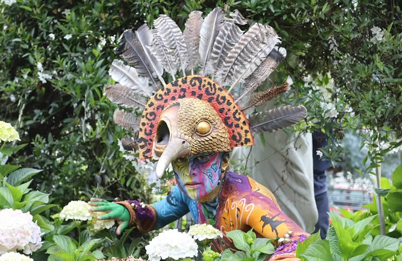 Universidad Mariana