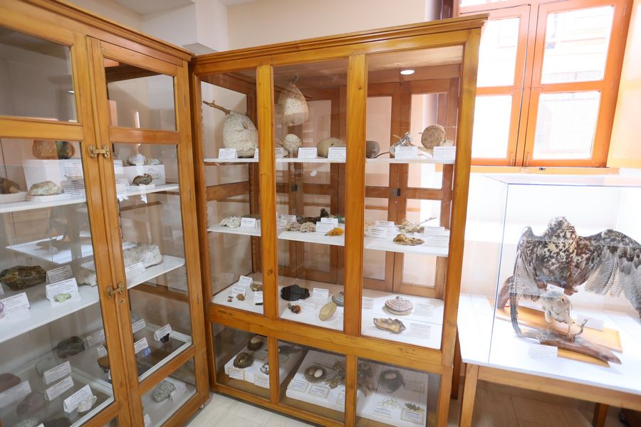 Imagen del museo