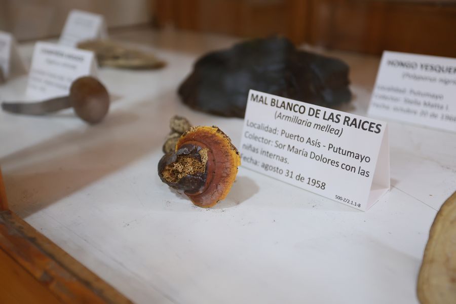 Imagen del museo