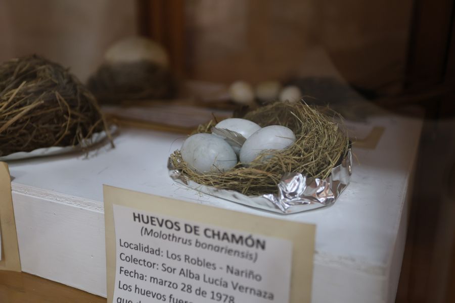Imagen del museo