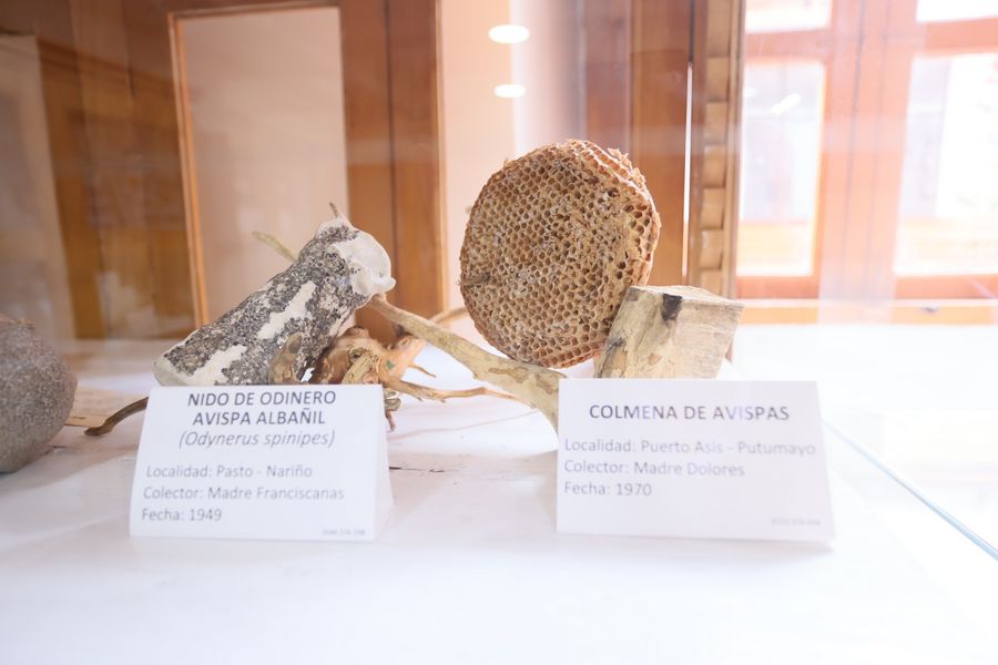 Imagen del museo