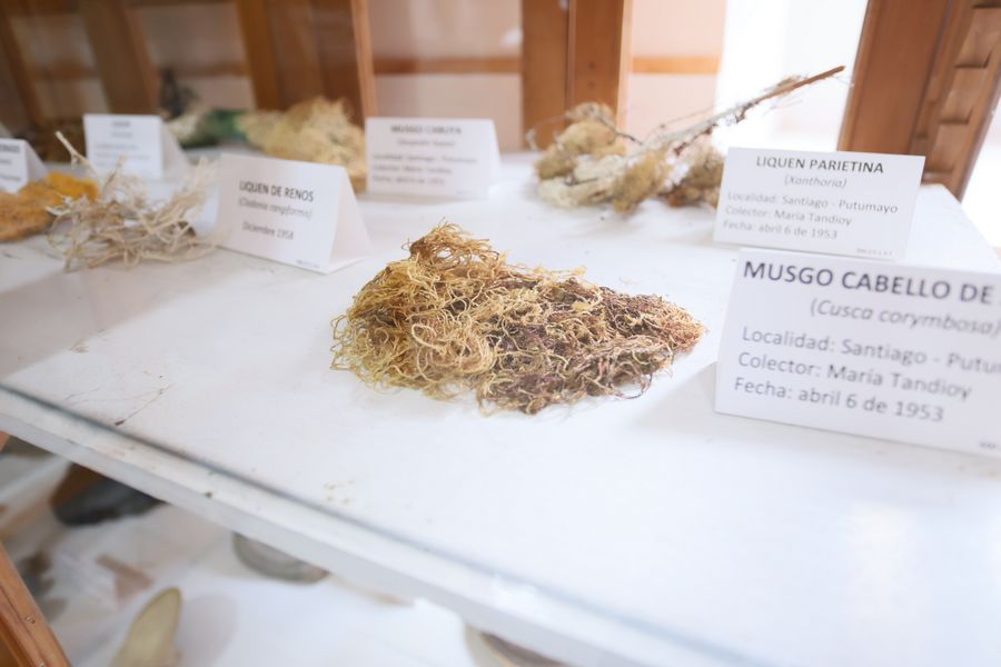 Imagen del museo