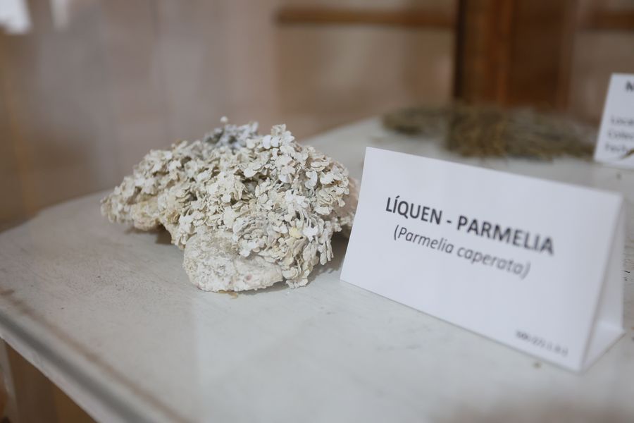 Imagen del museo