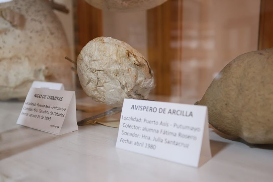 Imagen del museo