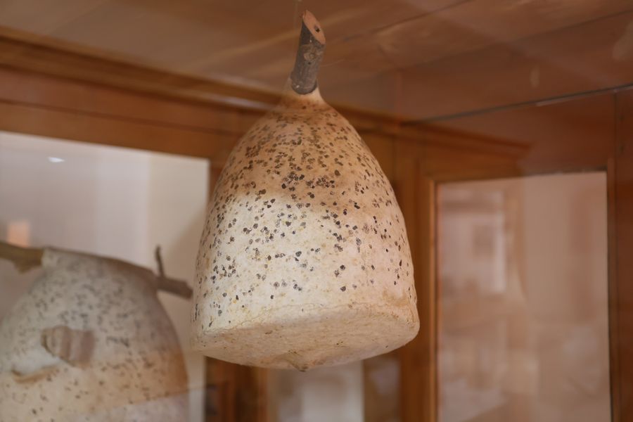 Imagen del museo