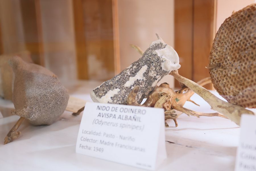 Imagen del museo
