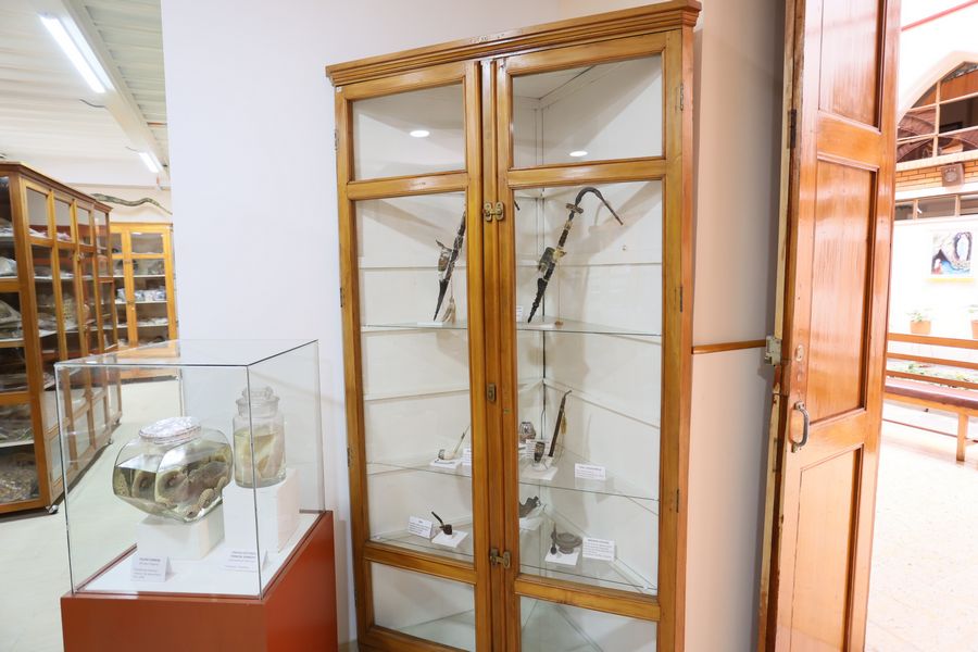 Imagen del museo