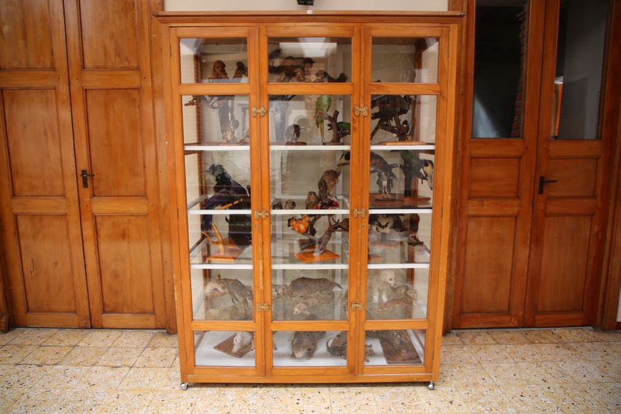 Imagen del museo