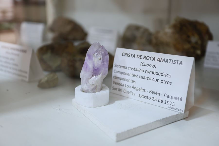 Imagen del museo