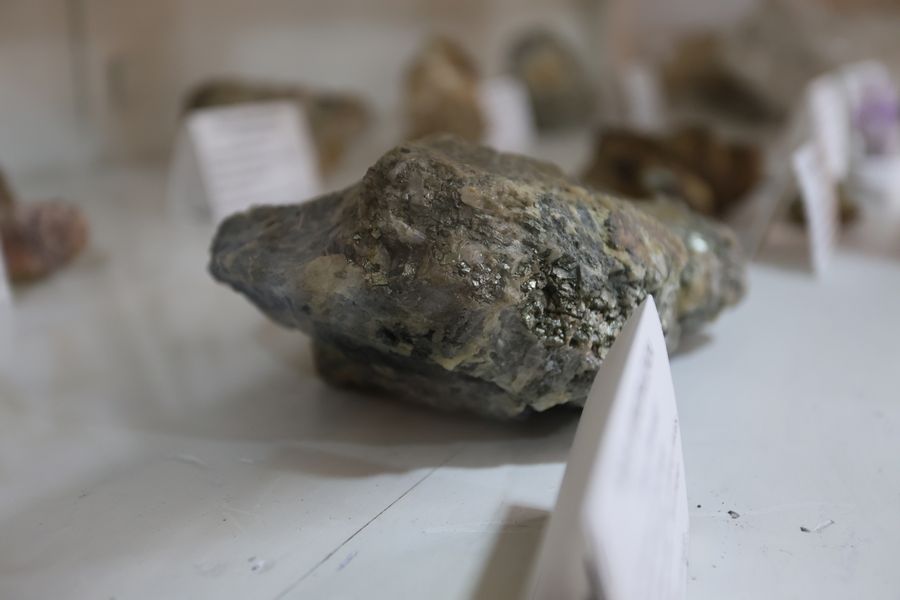 Imagen del museo