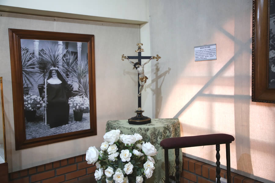 Imagen del museo