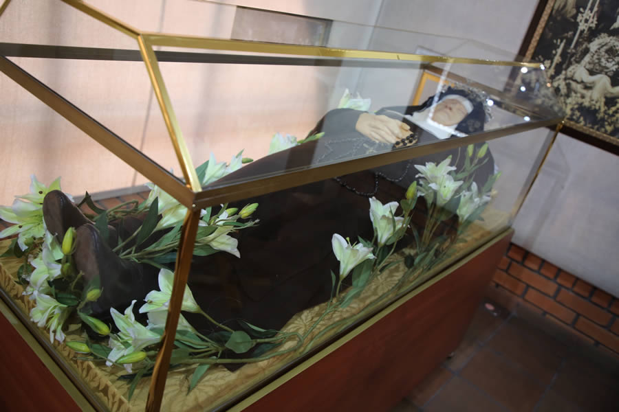 Imagen del museo