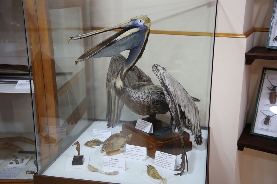 Imagen del museo