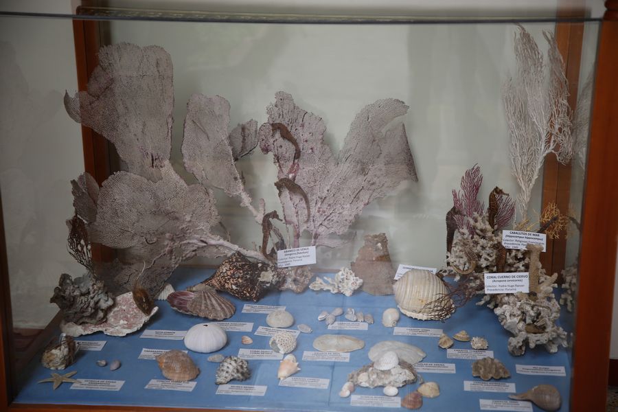 Imagen del museo