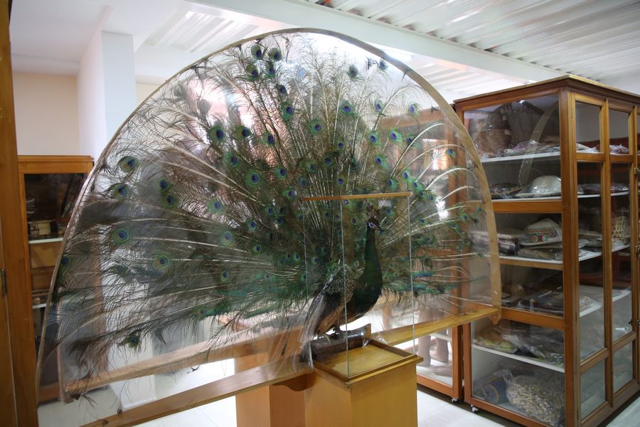 Imagen del museo