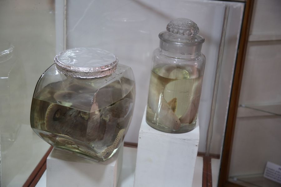 Imagen del museo