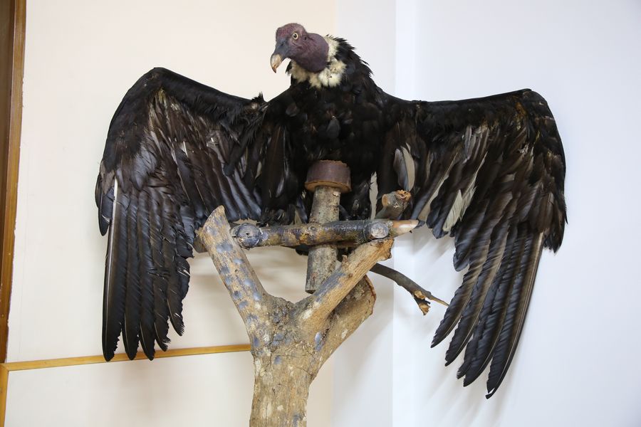 Imagen del museo