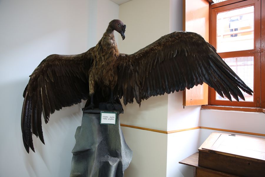 Imagen del museo