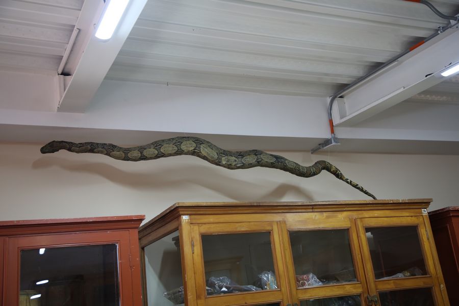 Imagen del museo