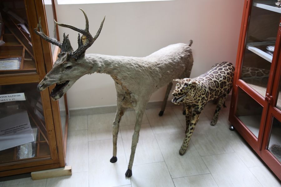 Imagen del museo